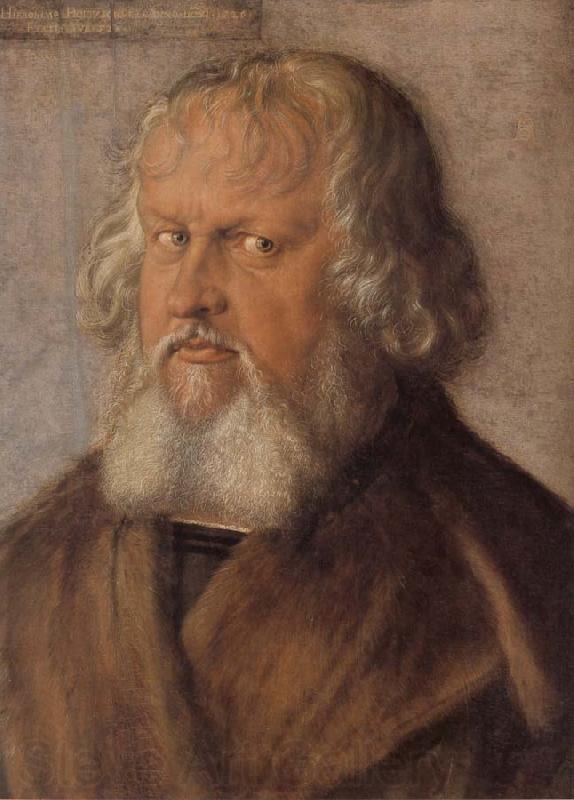 Albrecht Durer Hieronymus Holzschuher Norge oil painting art